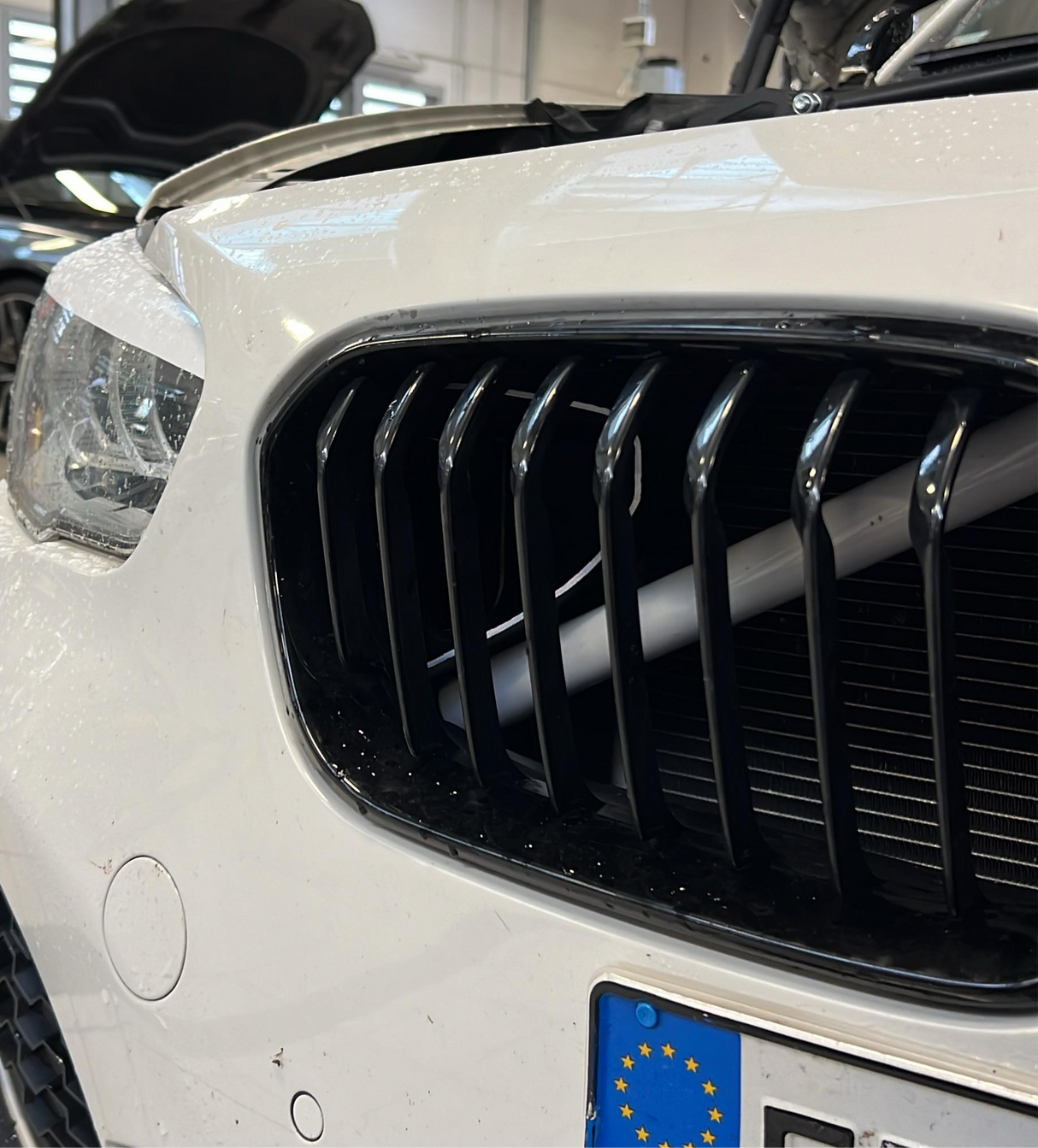 Lufthutze-Einlass BMW F20/F21/F22/F23/F30/F31//F33/F34/F36