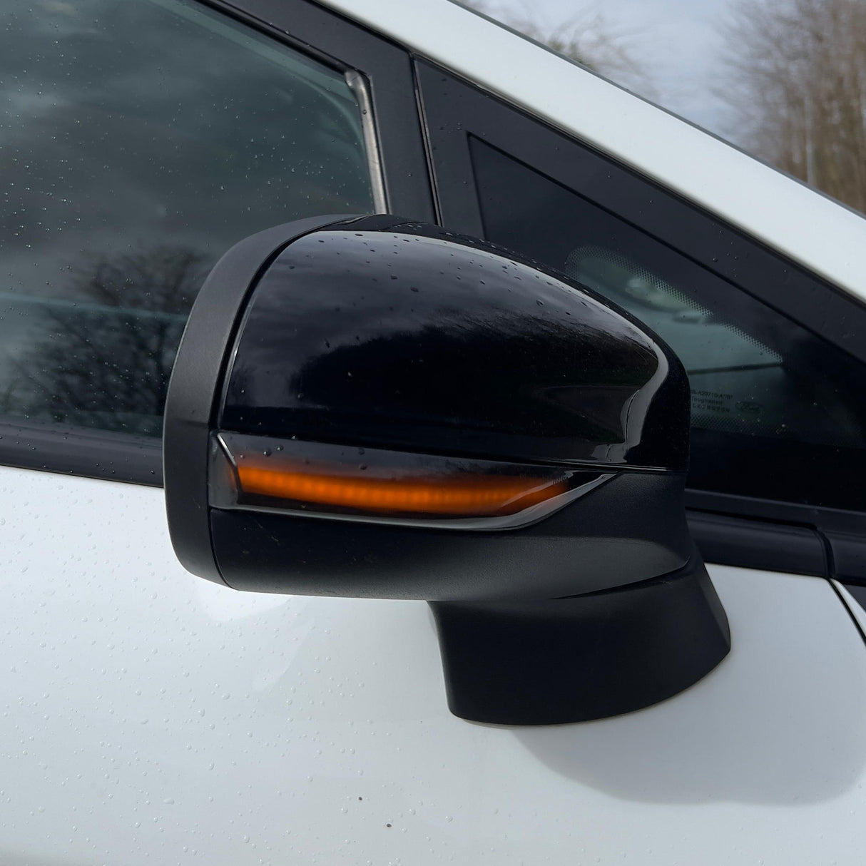 Frecce dinamiche Focus MK3.5