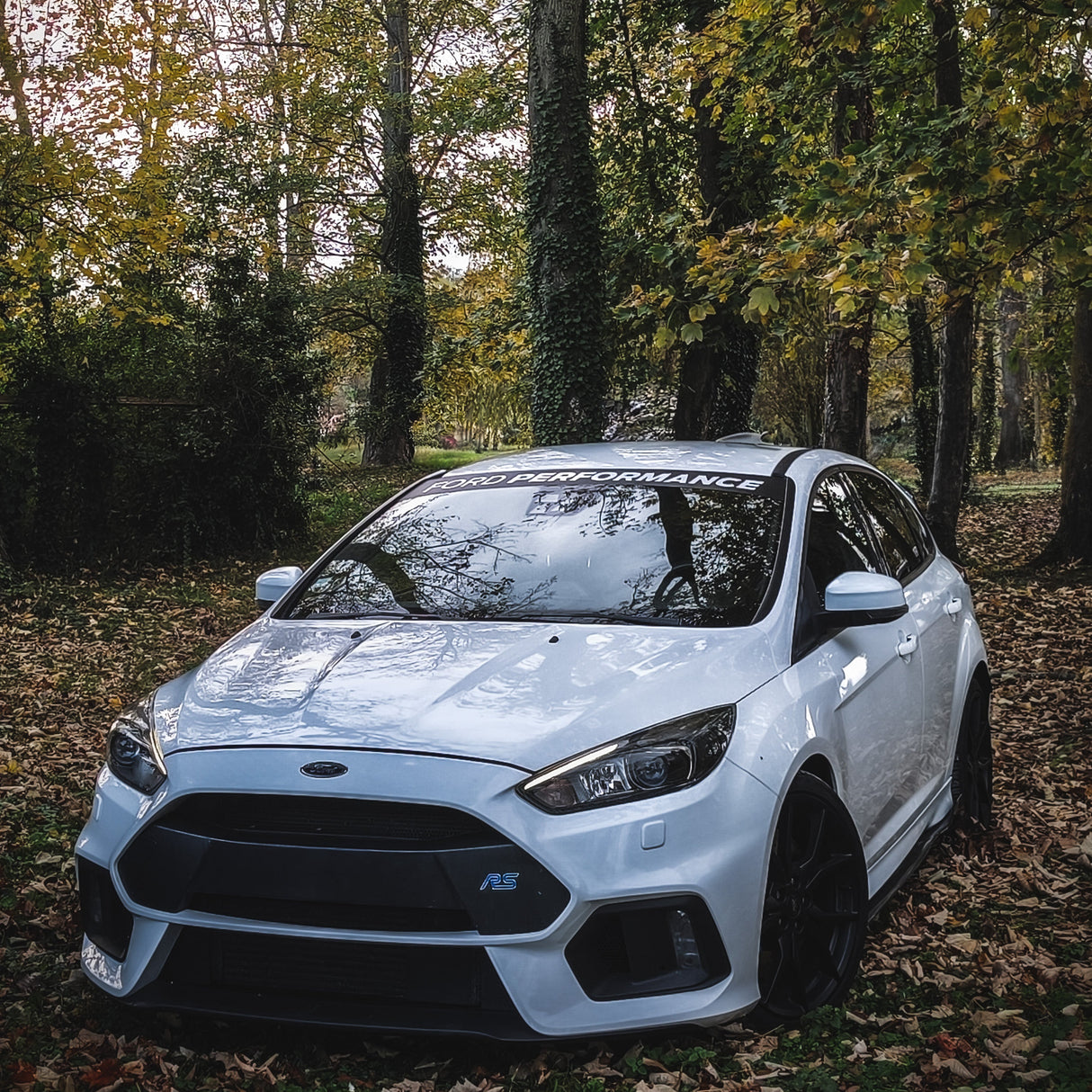 Sunstrip Ford Performance V1- Adesivo Parabrezza Sportivo per Fiesta Focus Puma