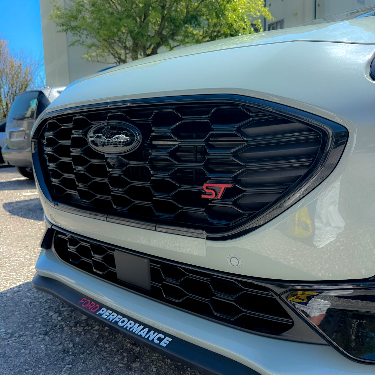 SOVRAPPOSIZIONI EMBLEMI FORD IN GEL PUMA MK2.5