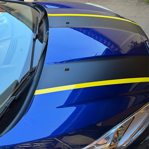 Strisce Cofano Auto Universali 120 cm
