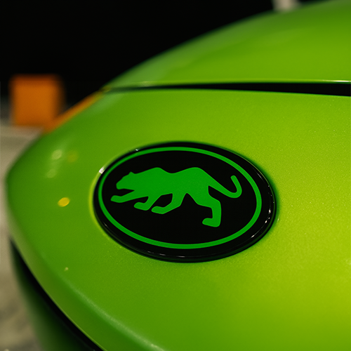 FORD GEL EMBLEM OVERLAYS