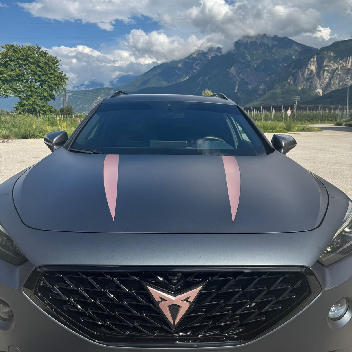 Strisce cofano Cupra Formentor