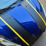 Strisce Cofano Auto Universali 120 cm
