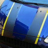 Strisce Cofano Auto Universali 120 cm