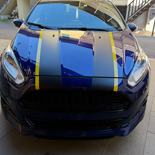 Strisce Cofano Auto Universali 120 cm