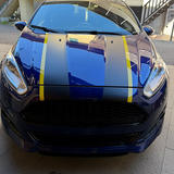 Strisce Cofano Auto Universali 120 cm
