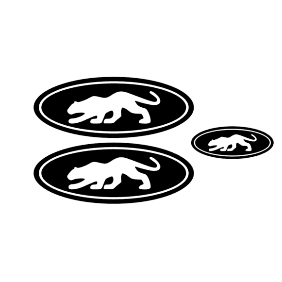 FORD GEL-EMBLEM-OVERLAYS FIESTA MK8-FOCUS MK4- PUMA MK2
