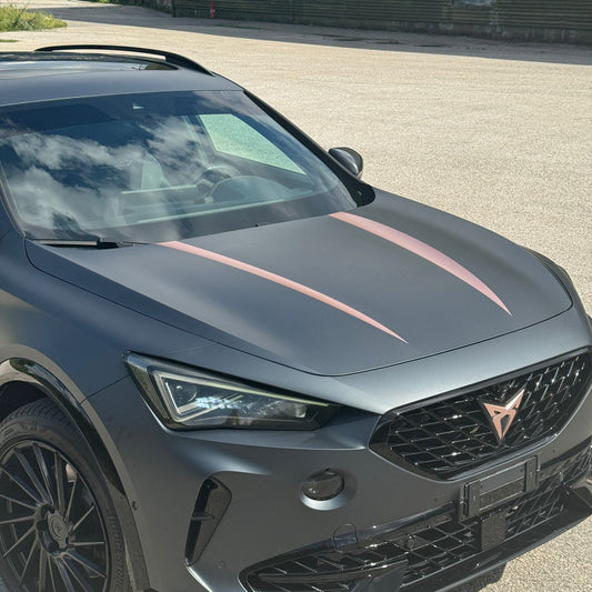 Motorhauben Streifen für Cupra Formentor